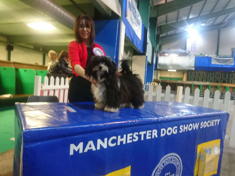Adorele I'm The One - Manchester Championship Show - Thu, 18 January 2018