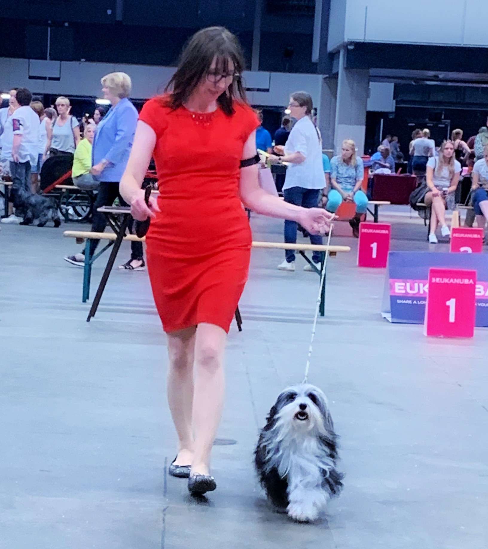 Adorele Angel in the Snow - Rotterdam Championship Show - Sun, 25 August 2019