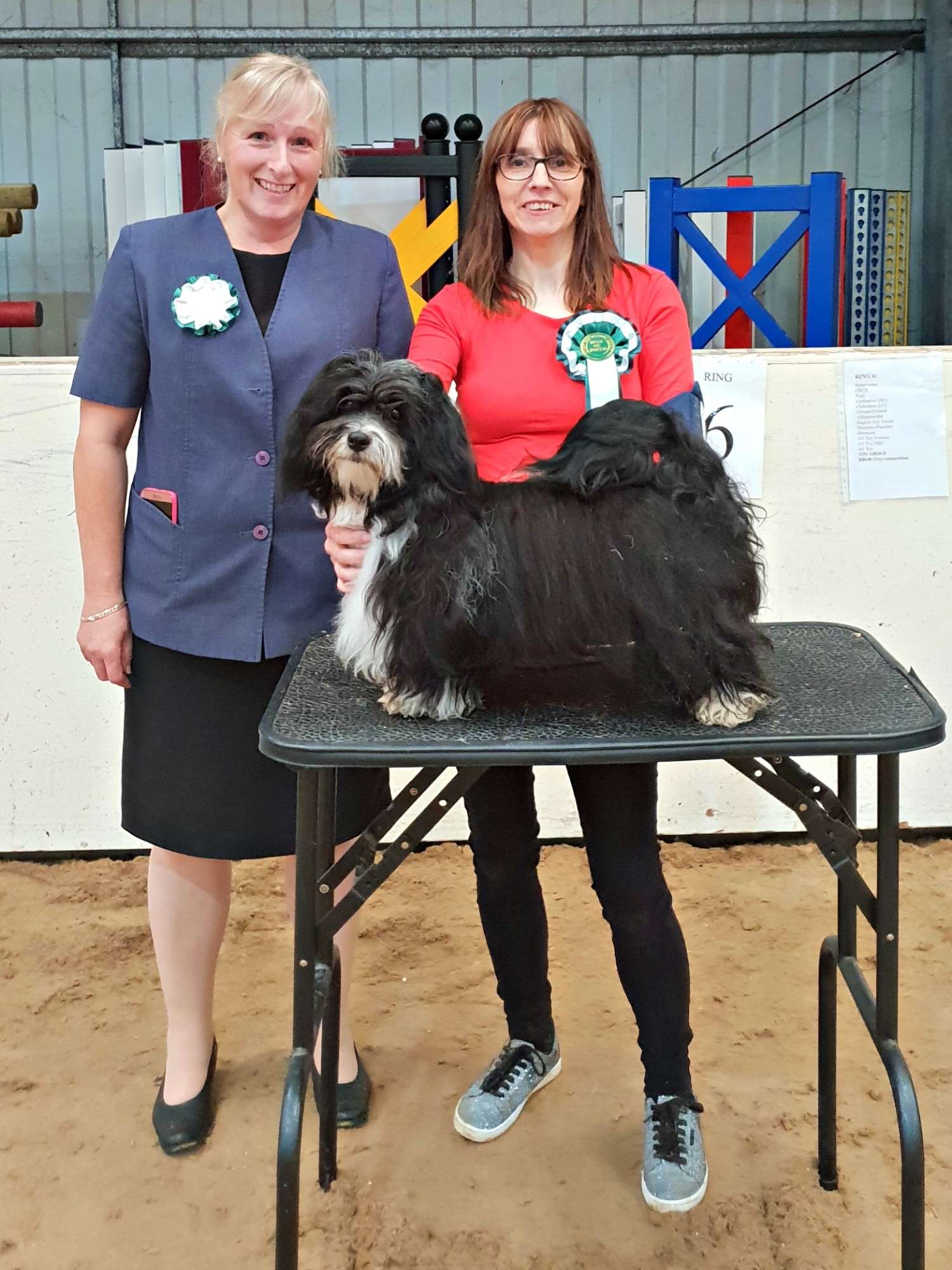 Adorele I'm The One - Dorset County Canine Society - Sun, 29 July 2018