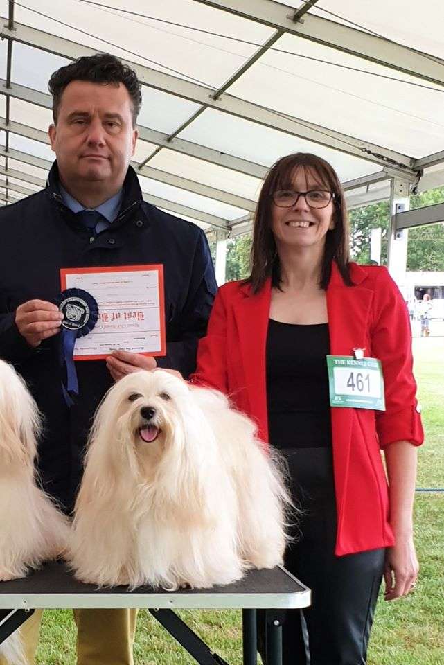 Adorele A Perfect World - Richmond Championship Show - Fri, 6 September 2019