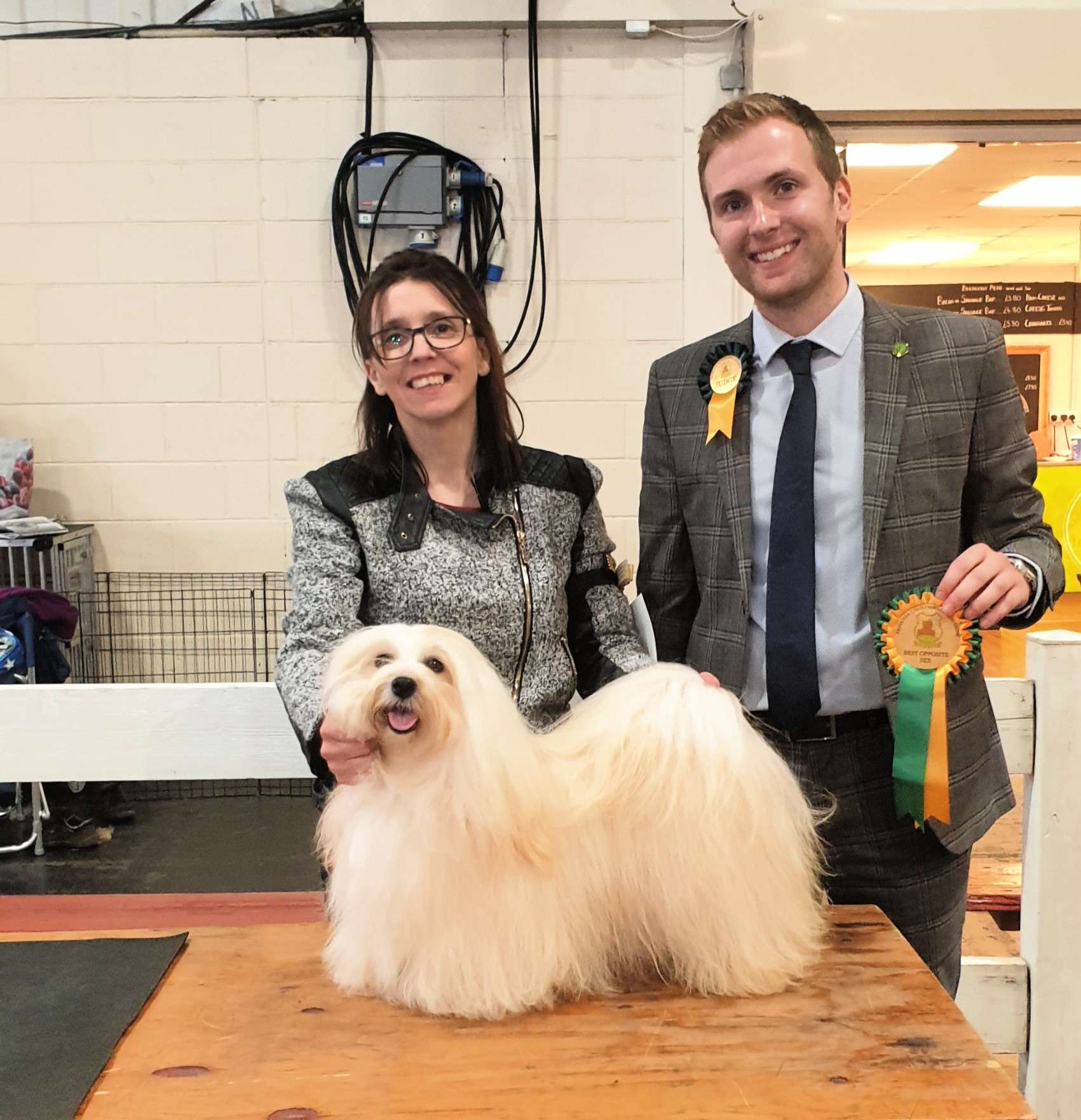 Adorele A Perfect World - Paignton & District Fanciers' Association - Sat, 3 August 2019