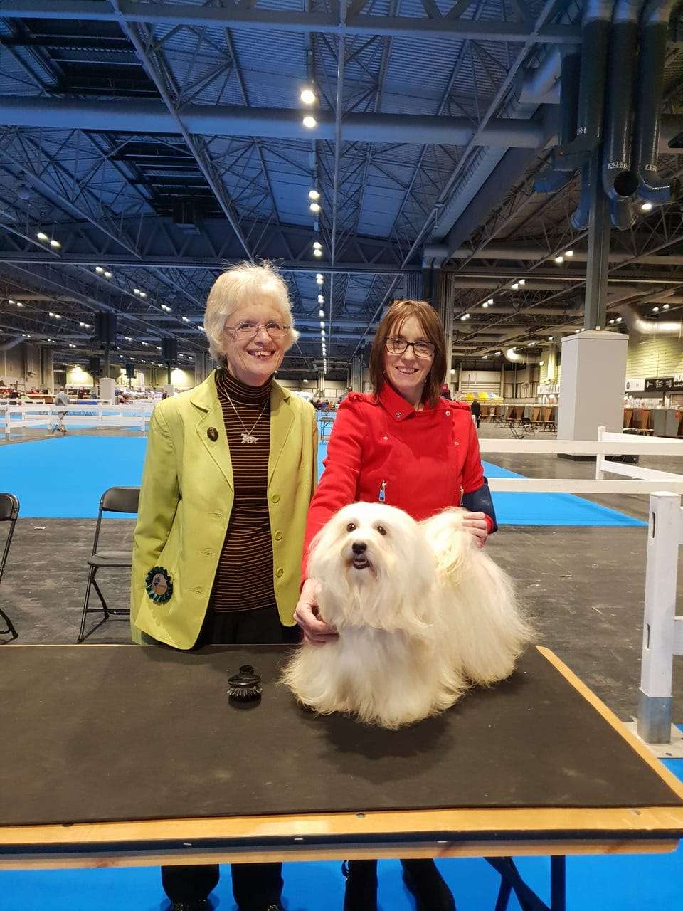 Adorele A Perfect World - Ladies Kennel Association Championship Show - Sat, 15 December 2018