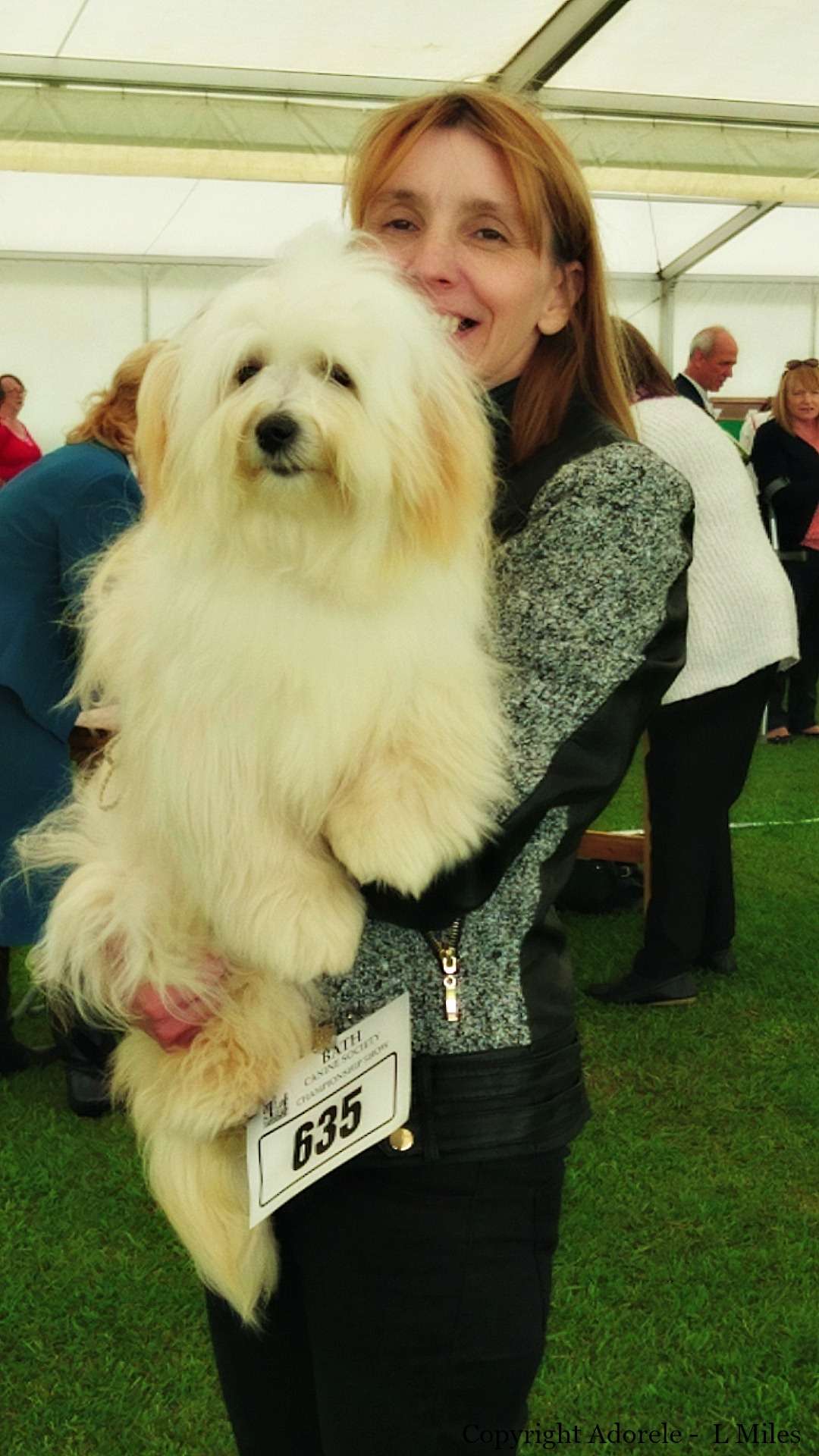 Adorele A Perfect World - Bath Championship Show - Fri, 27 May 2016
