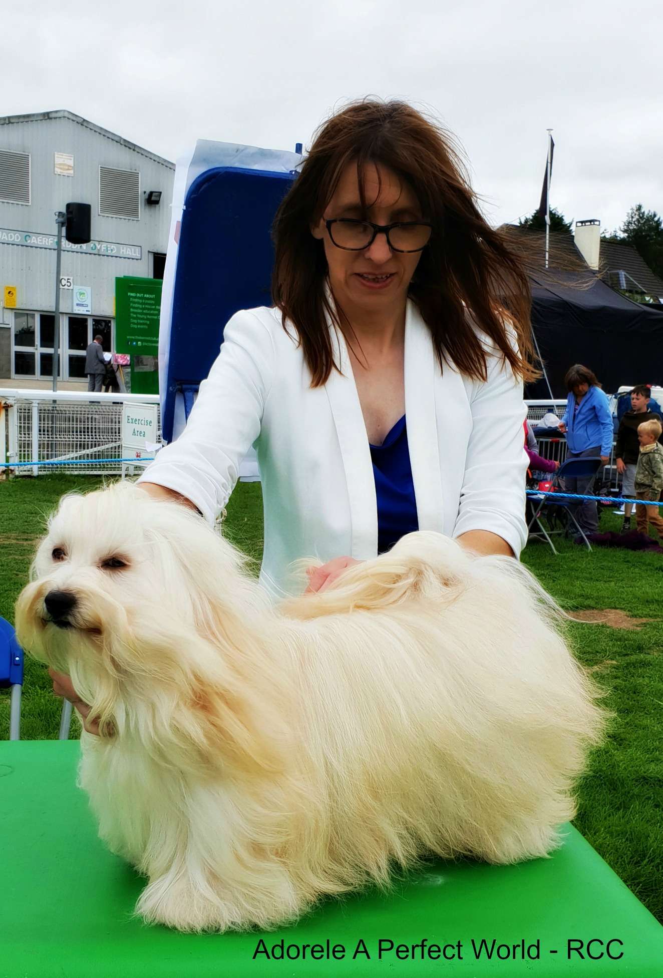 Adorele A Perfect World - The Welsh Kennel Club - Fri, 17 August 2018