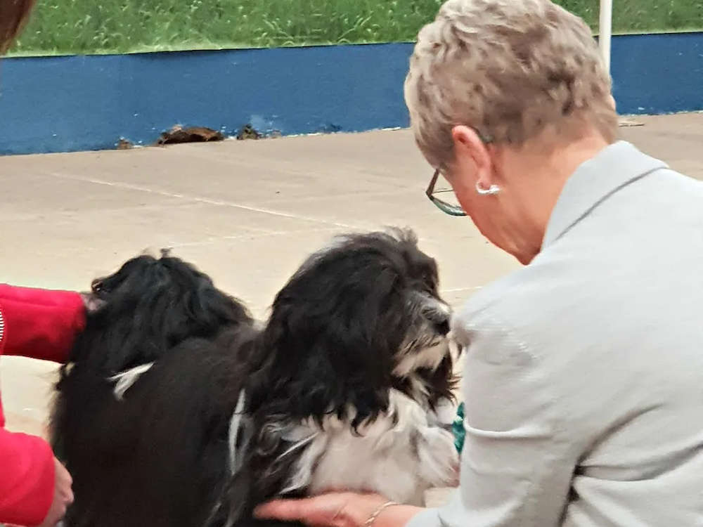 JP Wins Best Puppy in Breed!