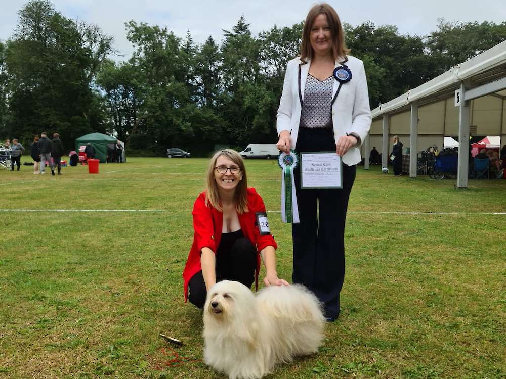 Lexie wins second Challenge Certificate at Bath!