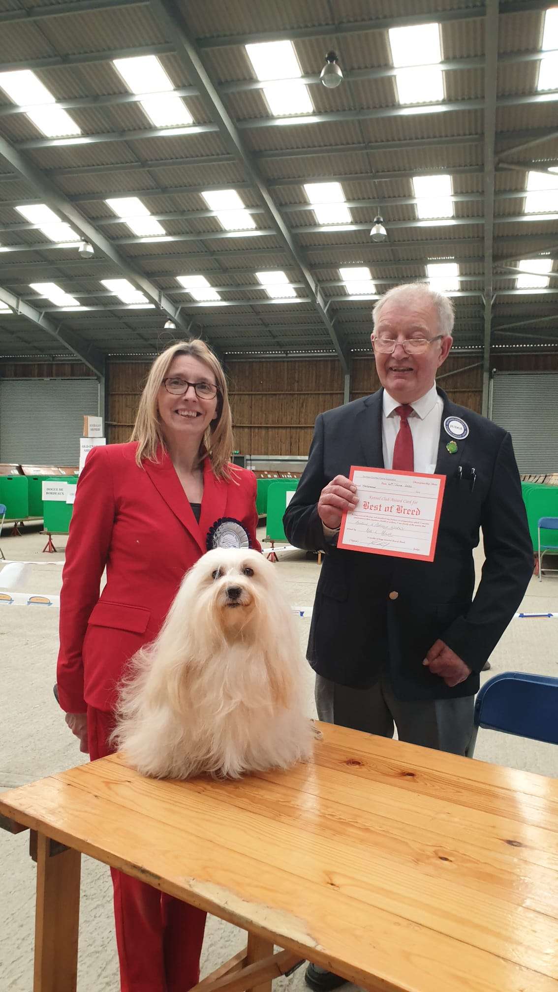 Adorele A Perfect World - Southern Counties Canine Association Championship Show - Sat, 4 June 2022