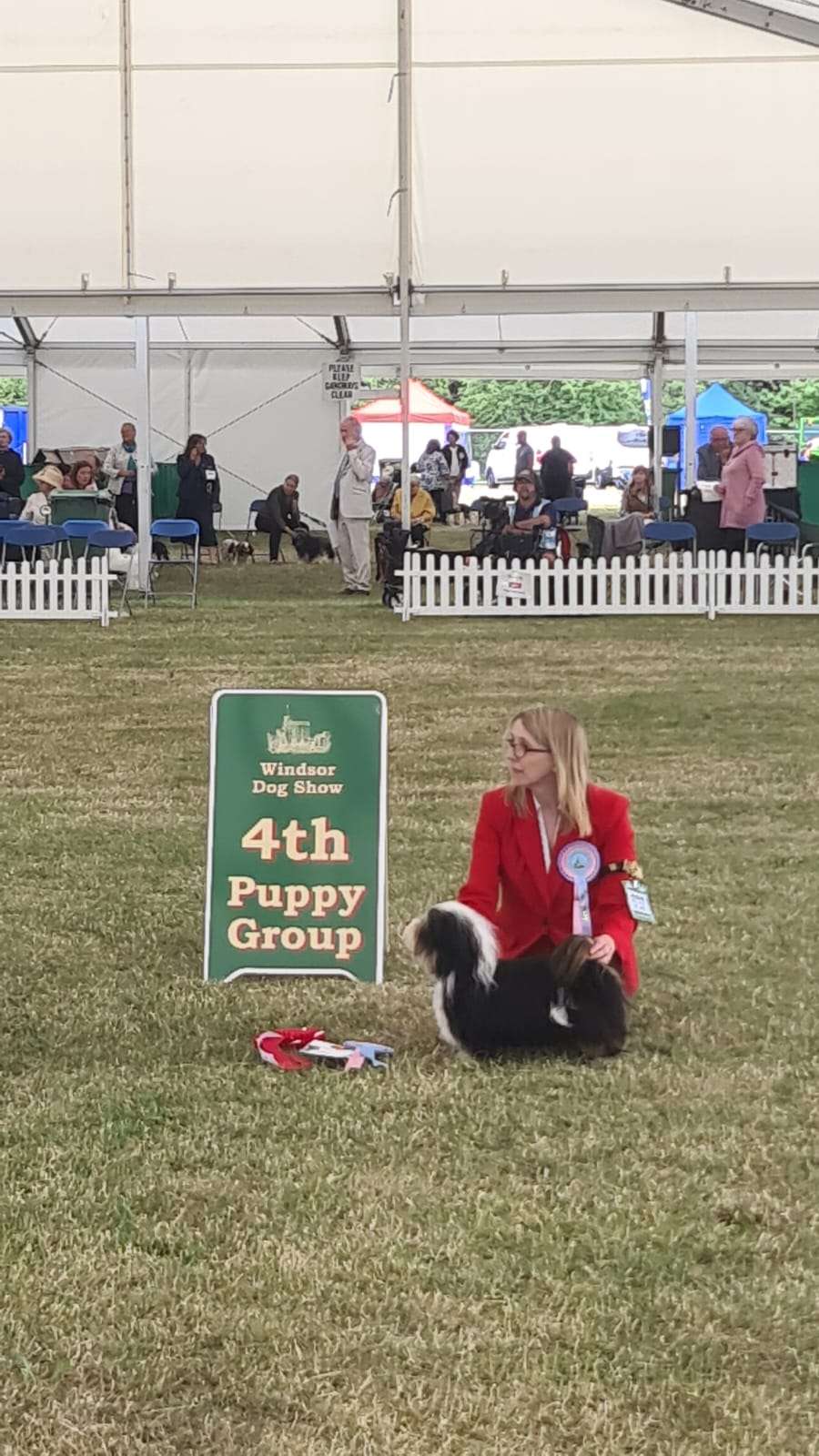 Adorele Master of the House - Windsor Championship Show - Fri, 1 July 2022