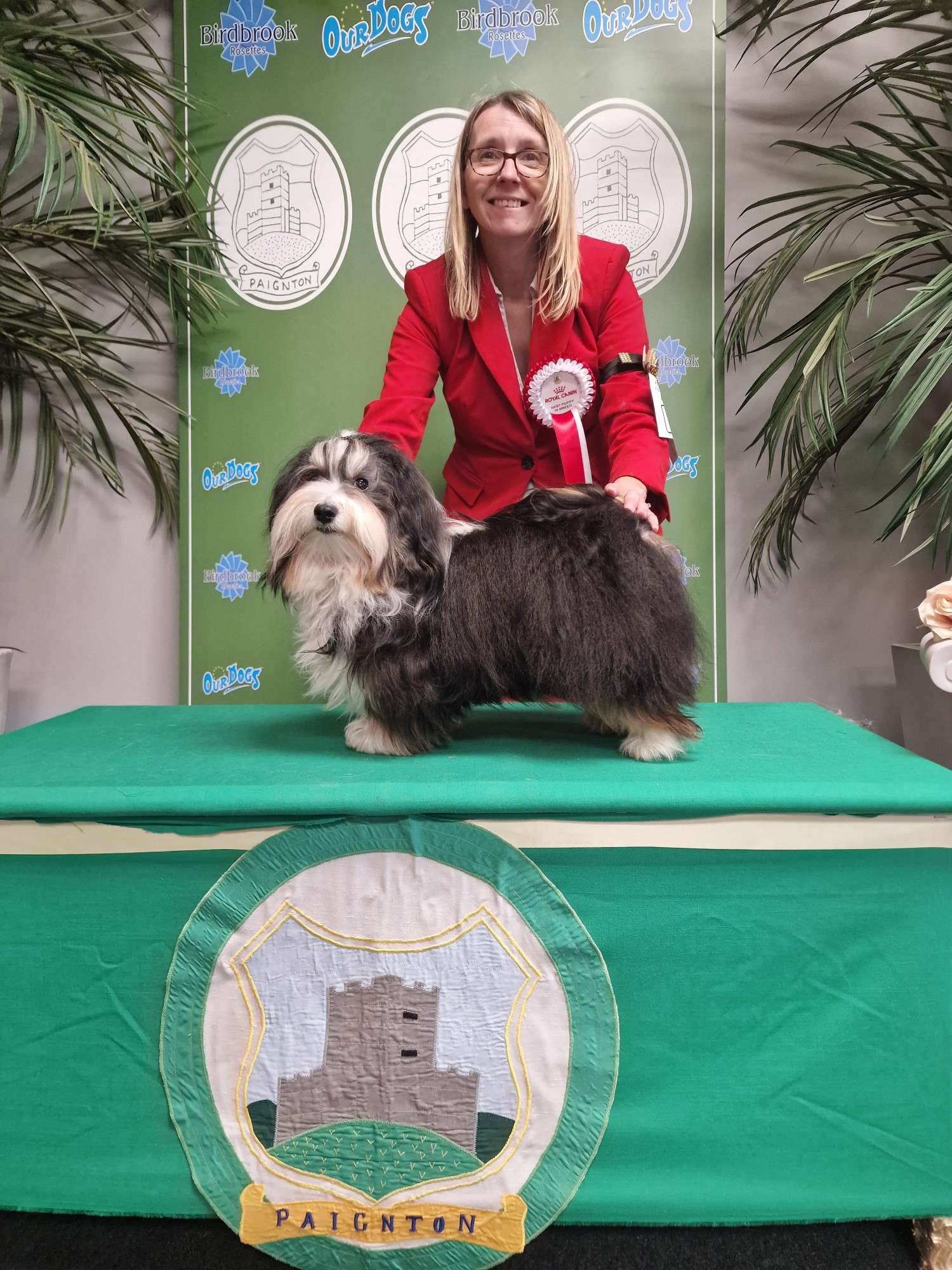 Adorele Master of the House - Paignton & District Fanciers' Association - Fri, 5 August 2022