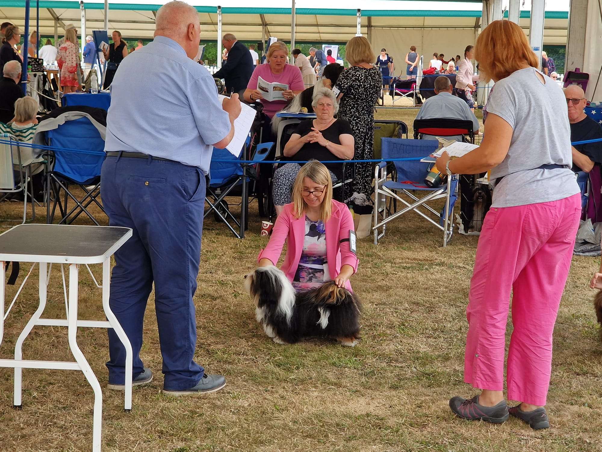Adorele Master of the House - Bournemouth Canine Association - Mon, 15 August 2022