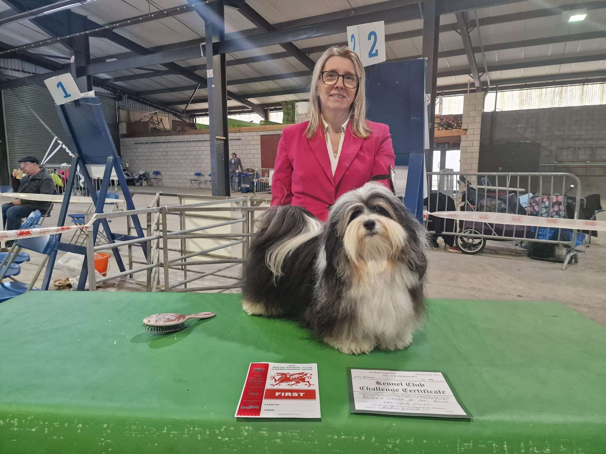 Adorele Master of the House - The Welsh Kennel Club - Fri, 18 August 2023