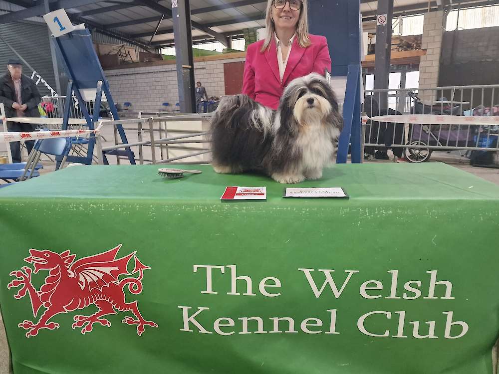 Romeo's Masterly Performance in Wales! Winning the CC!