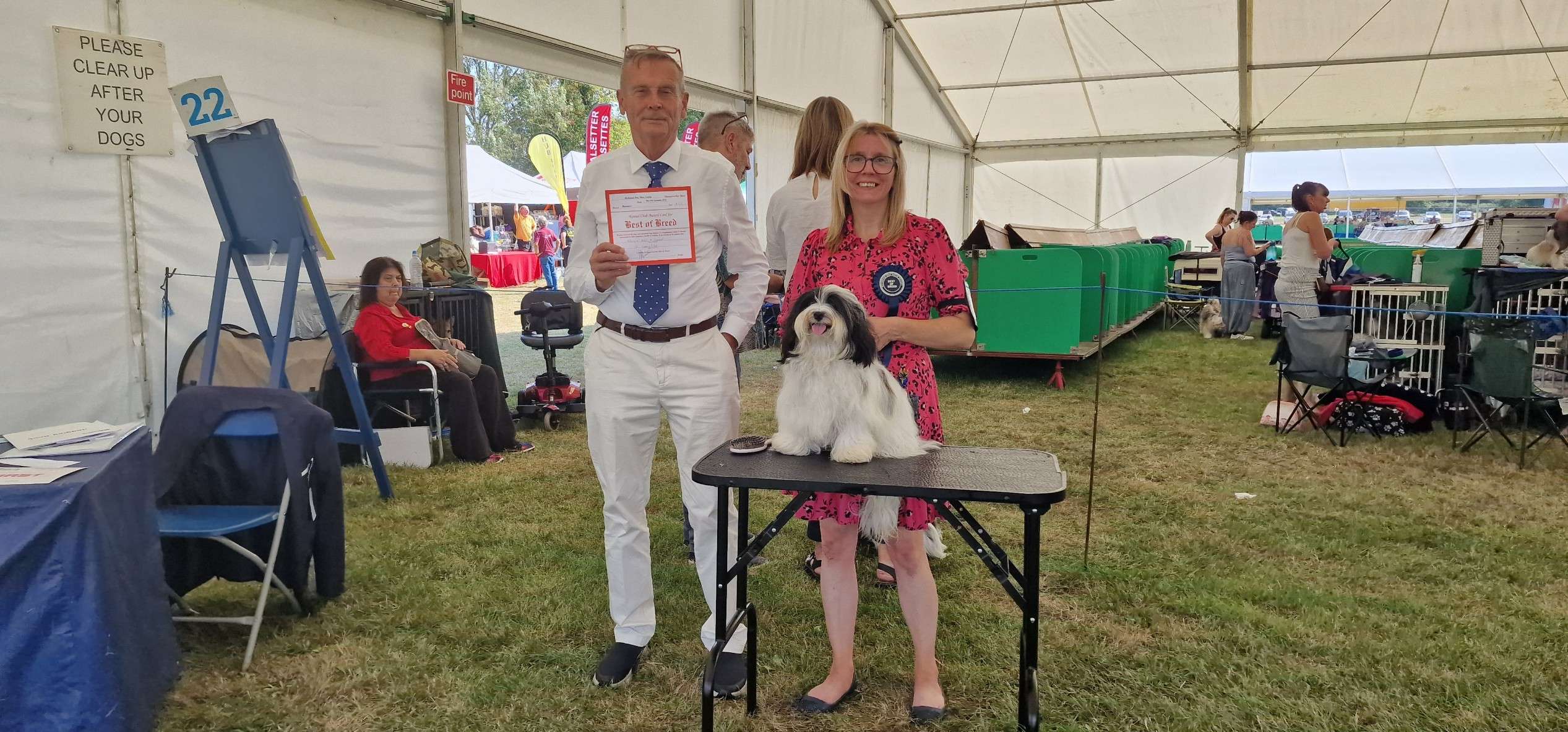 Adorele What A Legend - Richmond Championship Show - Fri, 8 September 2023