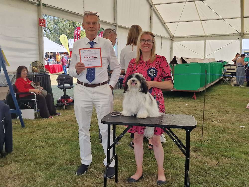 Rio Wins Best of Breed at Richmond Championship Show!