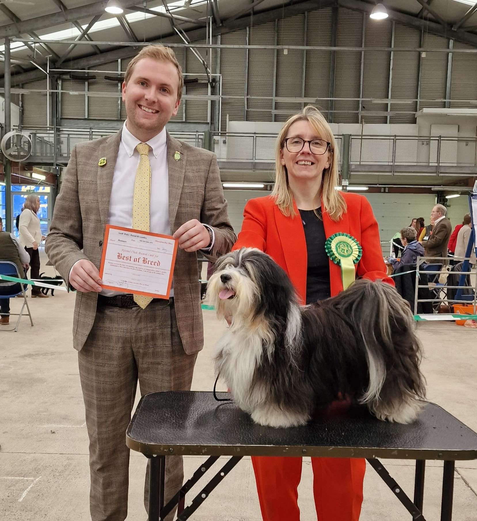 Adorele Master of the House - South Wales Kennel Association (SWKA) - Thu, 12 October 2023
