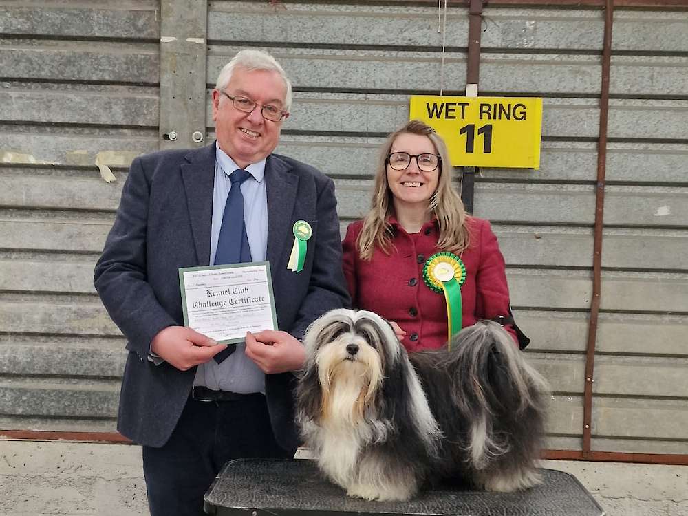 Romeo Wins Another Challenge Certificate (CC)!