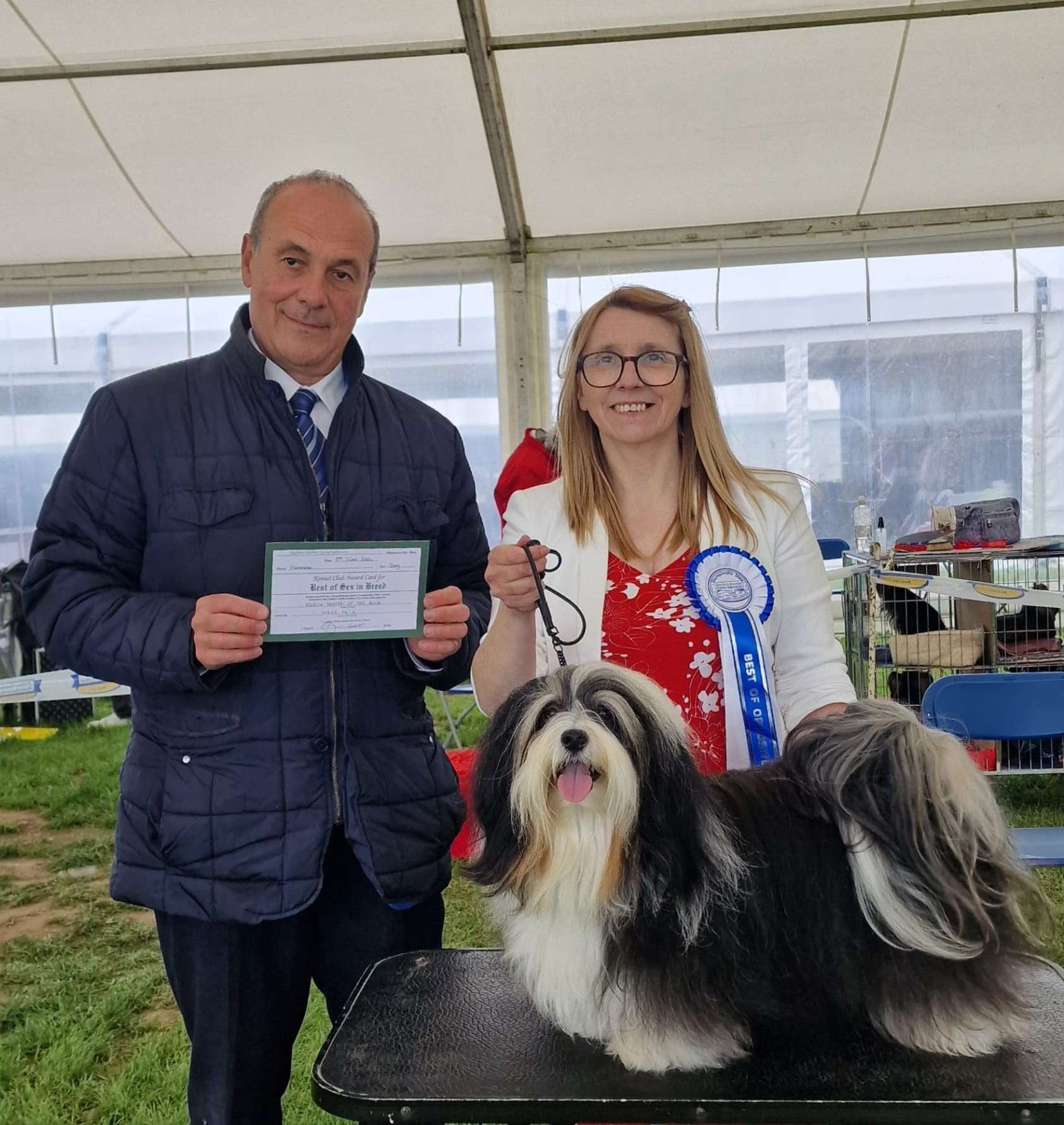 Adorele Master of the House - Southern Counties Canine Association Championship Show - Sat, 1 June 2024