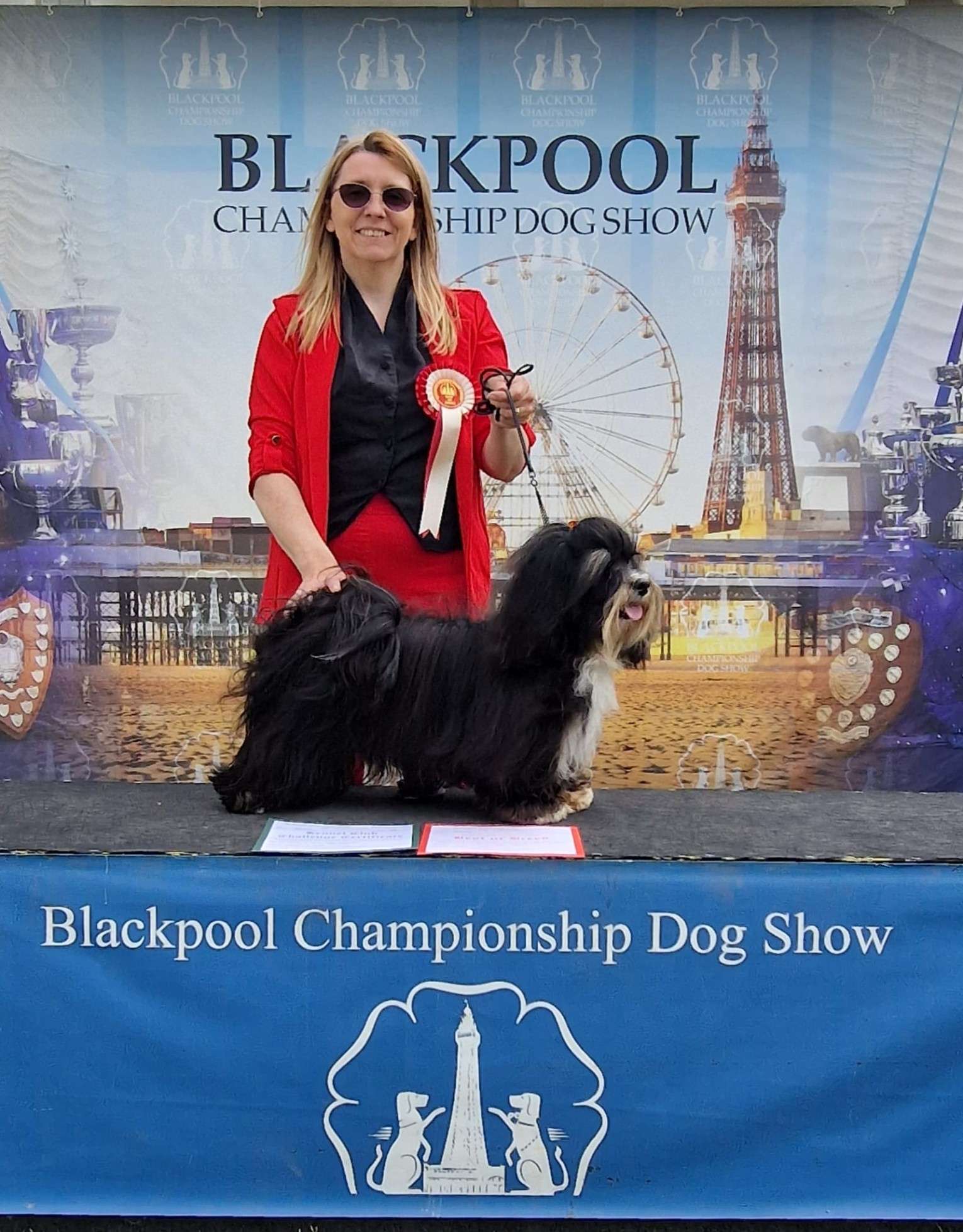 Velvet Story 'N Ba-da Best Hurricane - Blackpool and District Canine Society Championship Show - Fri, 21 June 2024