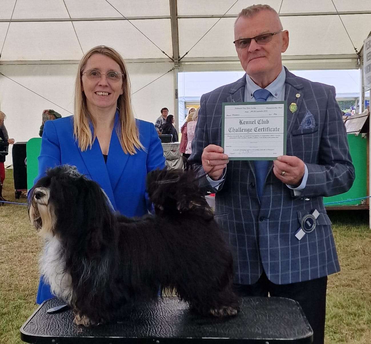Velvet Story 'N Ba-da Best Hurricane - Richmond Championship Show - Sun, 8 September 2024