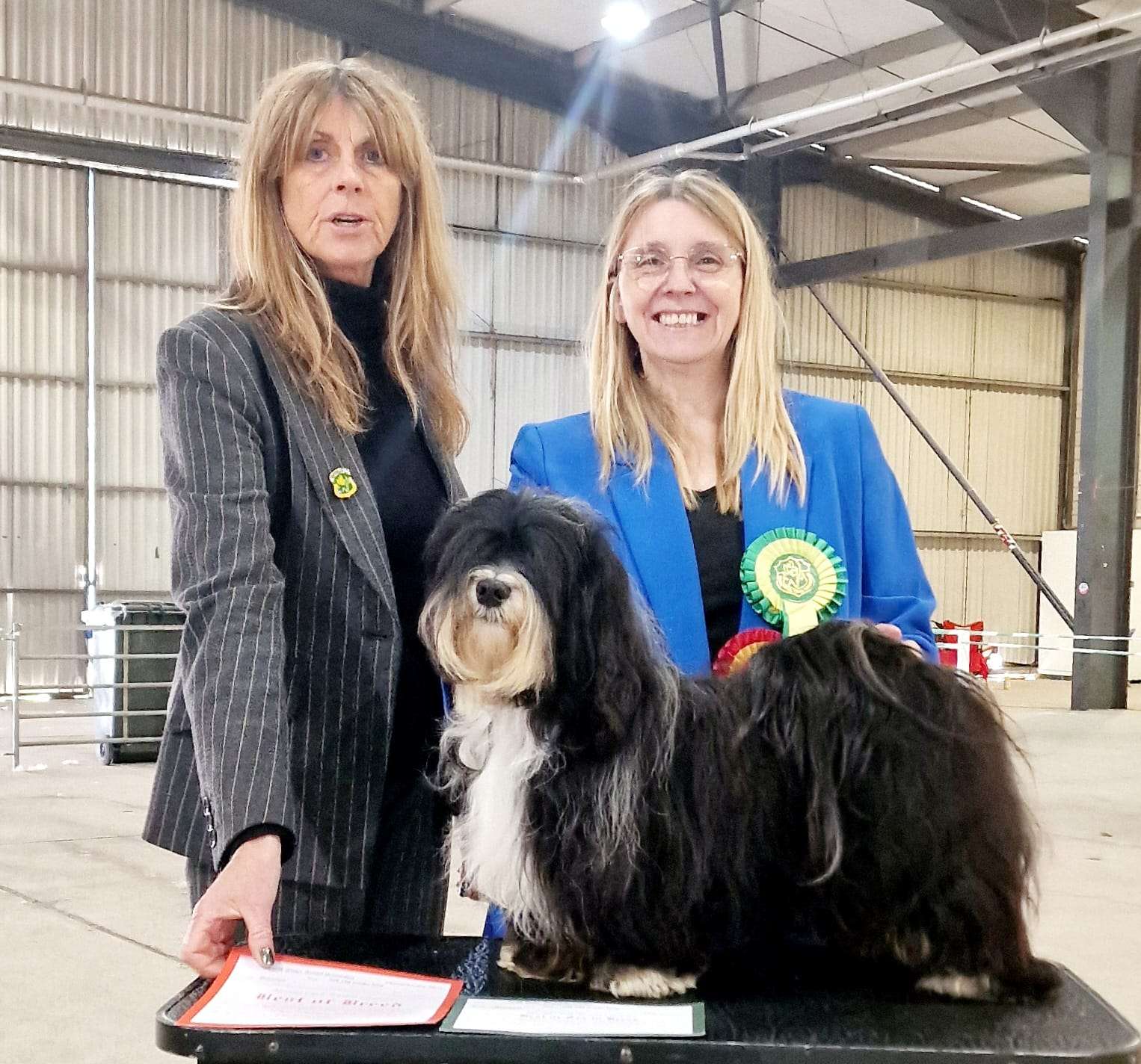 Velvet Story 'N Ba-da Best Hurricane - South Wales Kennel Association (SWKA) - Sat, 12 October 2024