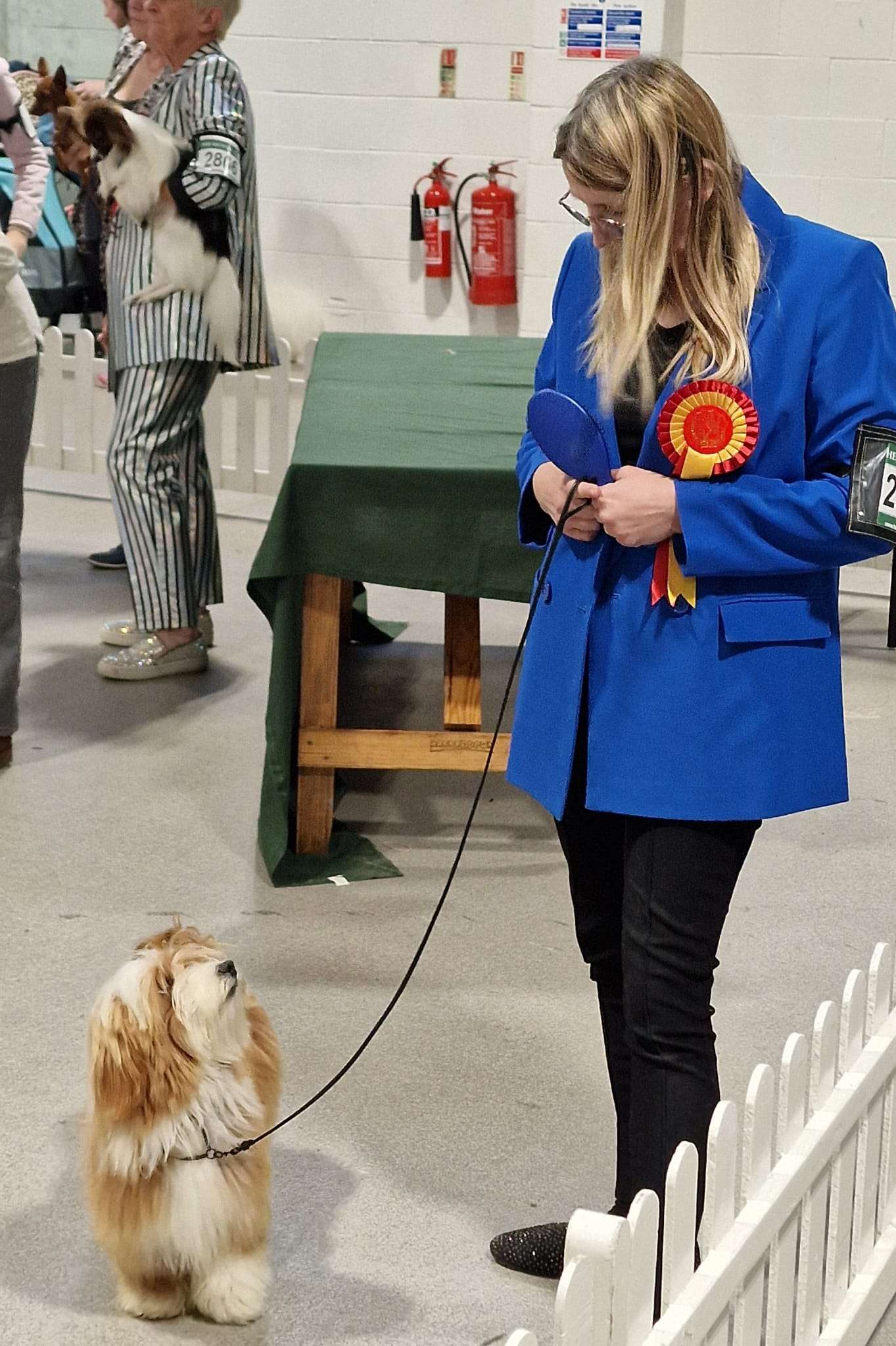 Adorele Storming To Glory - South Wales Kennel Association (SWKA) - Sat, 12 October 2024