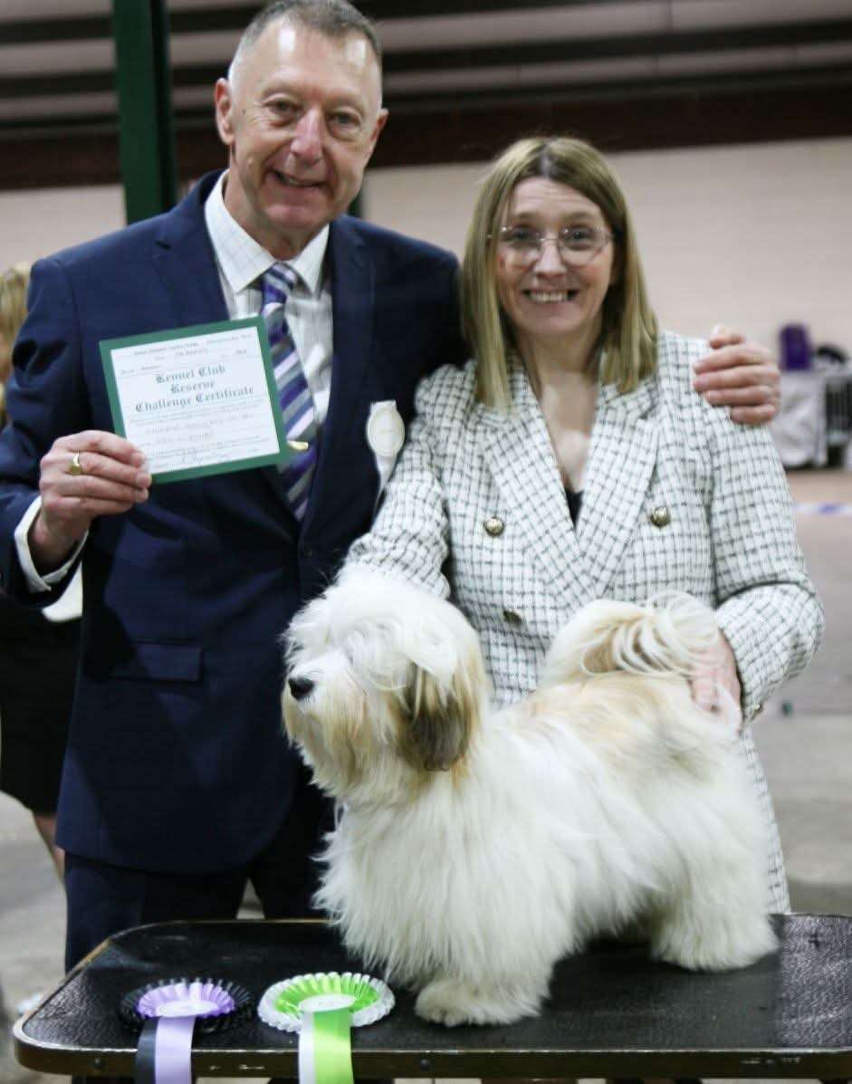 Adorele All I Ask Of You - United Kingdom Toy Dog Society - Sat, 29 March 2025
