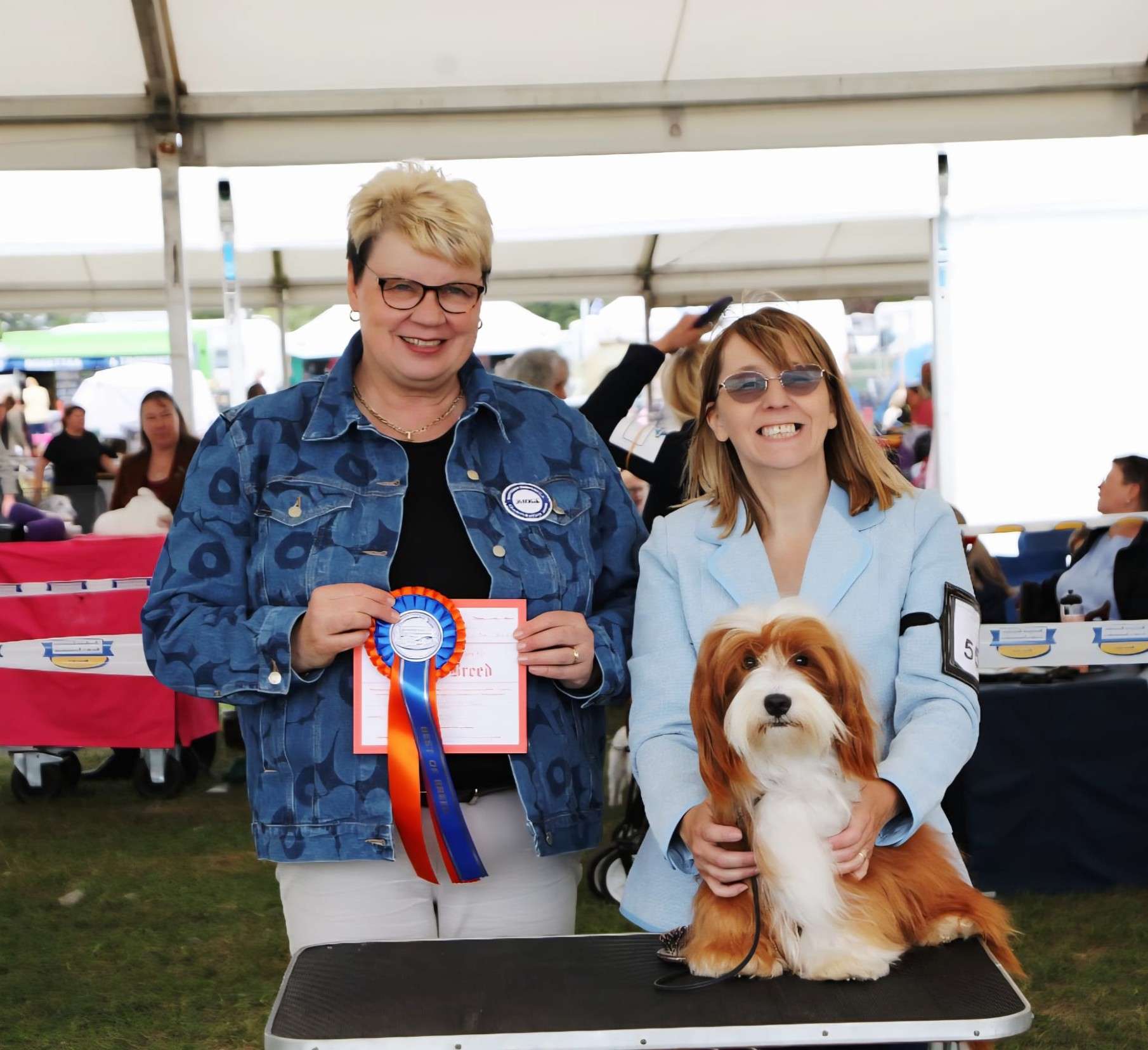 Adorele Storming To Glory - Southern Counties Canine Association Championship Show - Sun, 1 June 2025