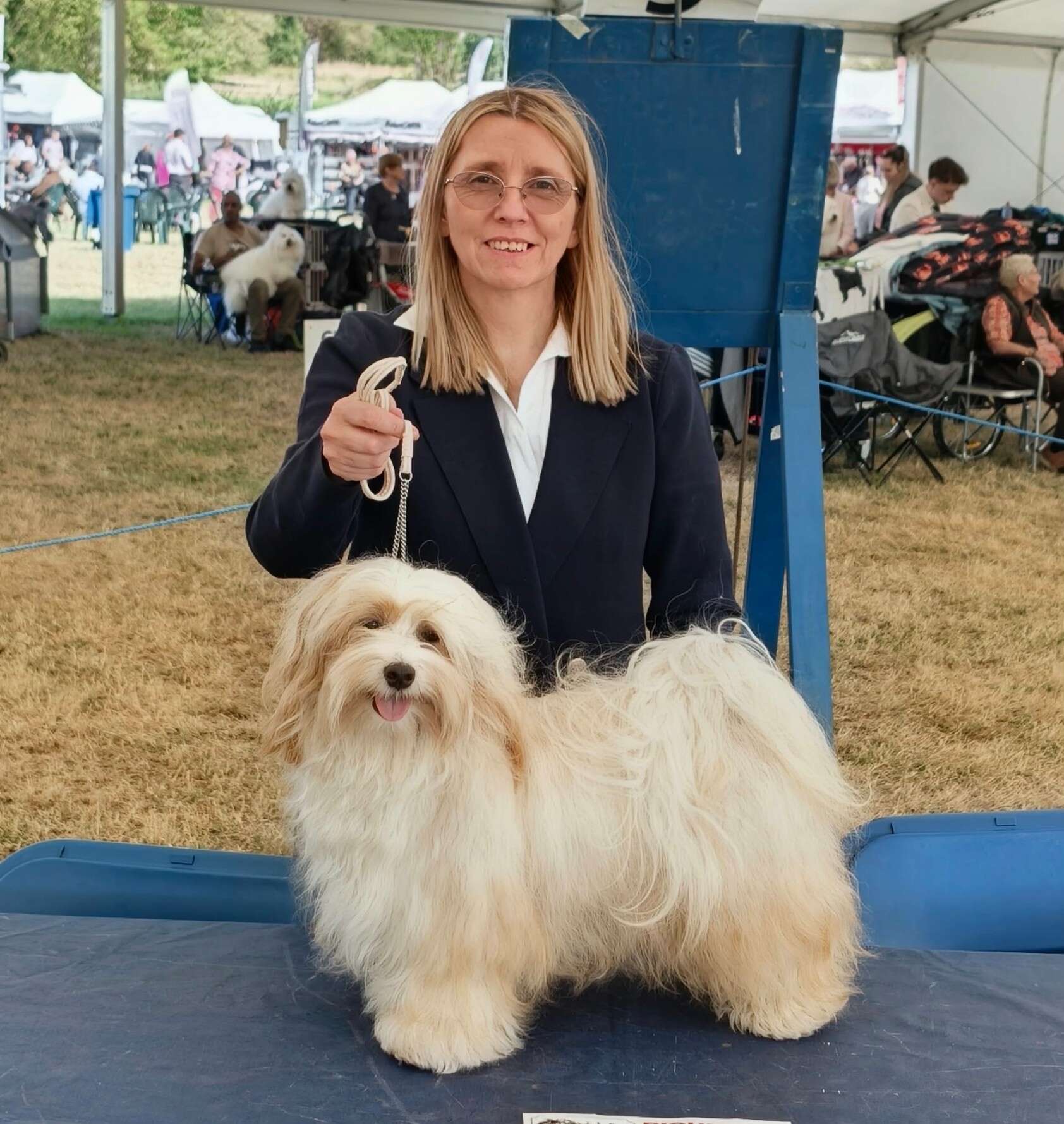 Adorele Love Actually - Bournemouth Canine Association - Sat, 8 August 2026